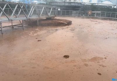 大神帮我看看这二沉池咋的啦