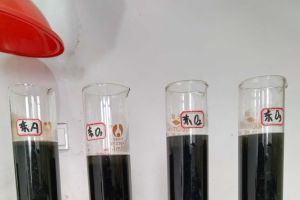 春节之后的系统启动到开始恢复