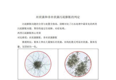 丝状菌和非丝状菌污泥膨胀的判定