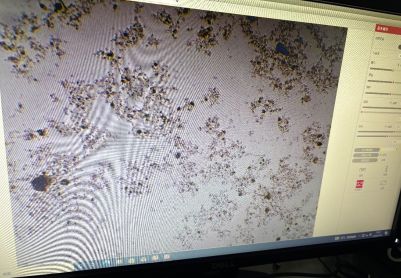 求助各位大佬，图片上是不是丝状菌膨胀