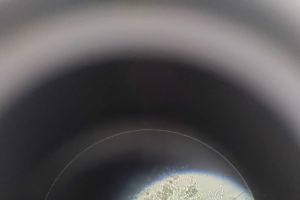 请问这是什么虫？