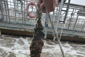 电镀废水-接触氧化工艺氨氮异常