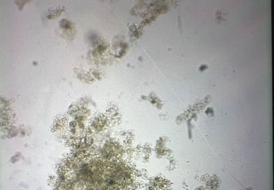 化工废水第四天