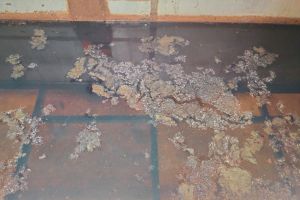 受邀作为污水站现场临时技术指导发现现场存在的问题，欢迎大佬们提供宝贵意见