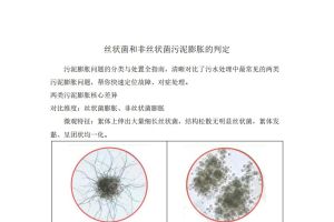 丝状菌和非丝状菌污泥膨胀的判定