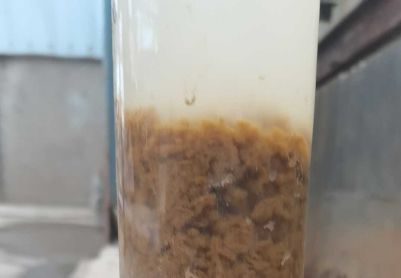 出水发白，cod两天从100涨到360多