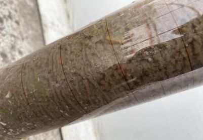 大家看看本厂的SV30，使用的膜工艺