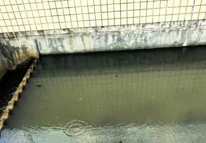 沉淀池浑浊问题