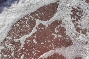 厌氧氨氧化脱氮工艺