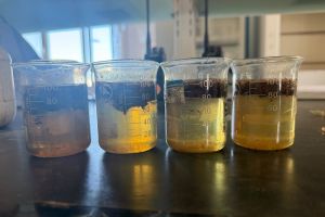 二沉池出水加聚铁污泥上浮