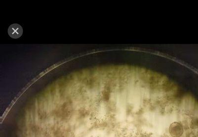 污泥大面积老化怎么办