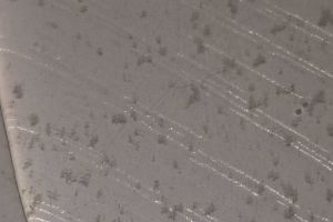 求帮忙看看什么生物