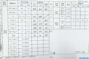 CAST工艺，生化池上清液呈褐色