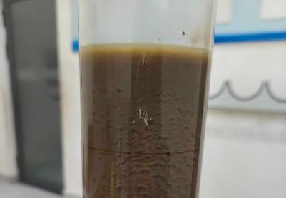 垃圾渗滤液生化系统氨氮超标cod正常