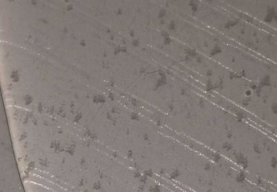 求帮忙看看什么生物