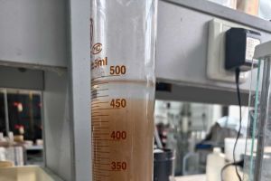 SBR反应器污泥不絮凝沉淀