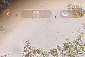 化工废水第五天
