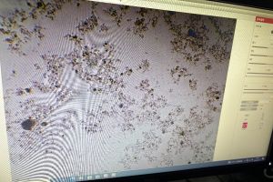 求助各位大佬，图片上是不是丝状菌膨胀