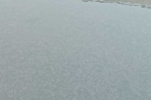 漂泥 污泥灰黑求助