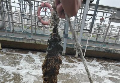 电镀废水-接触氧化工艺氨氮异常