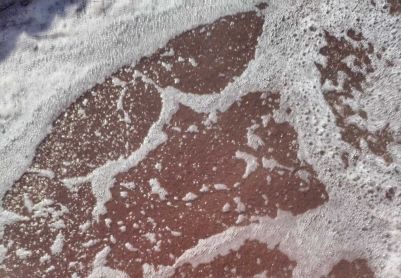 厌氧氨氧化脱氮工艺