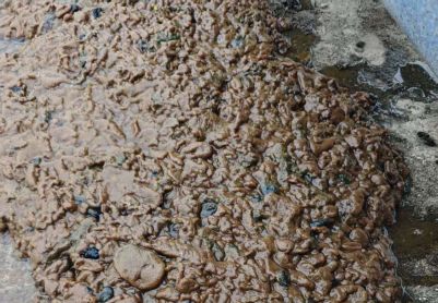 请大神帮忙看看好氧池内漂浮的泥球这是怎么回事