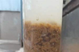 出水发白，cod两天从100涨到360多