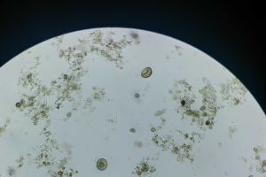 大家分析一下我的系统如何？