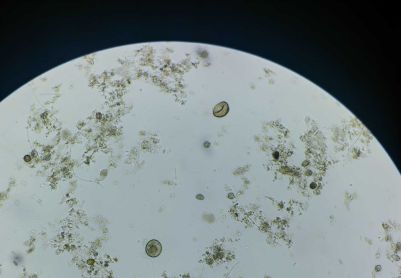 大家分析一下我的系统如何？