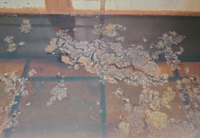 受邀作为污水站现场临时技术指导发现现场存在的问题，欢迎大佬们提供宝贵意见