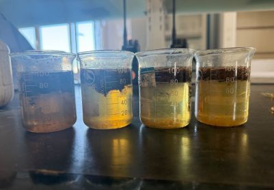 二沉池出水加聚铁污泥上浮