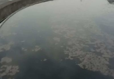 二沉池反硝化浮泥怎么解决