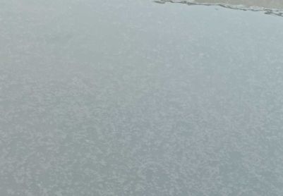 漂泥 污泥灰黑求助