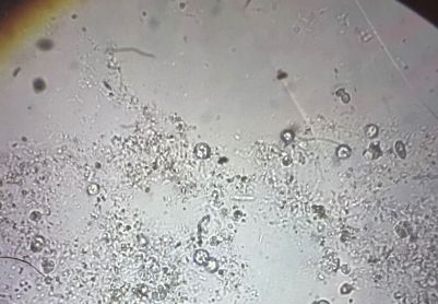化工废水水样实验