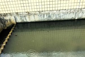 沉淀池浑浊问题