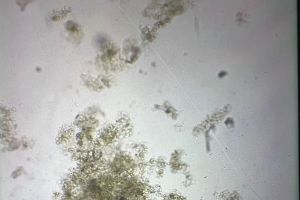 化工废水第四天