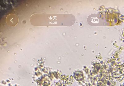 化工废水第五天