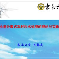 小型分散式农村污水处理的理论与实践