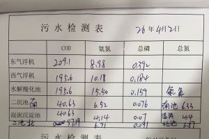 关于水解酸化的问题