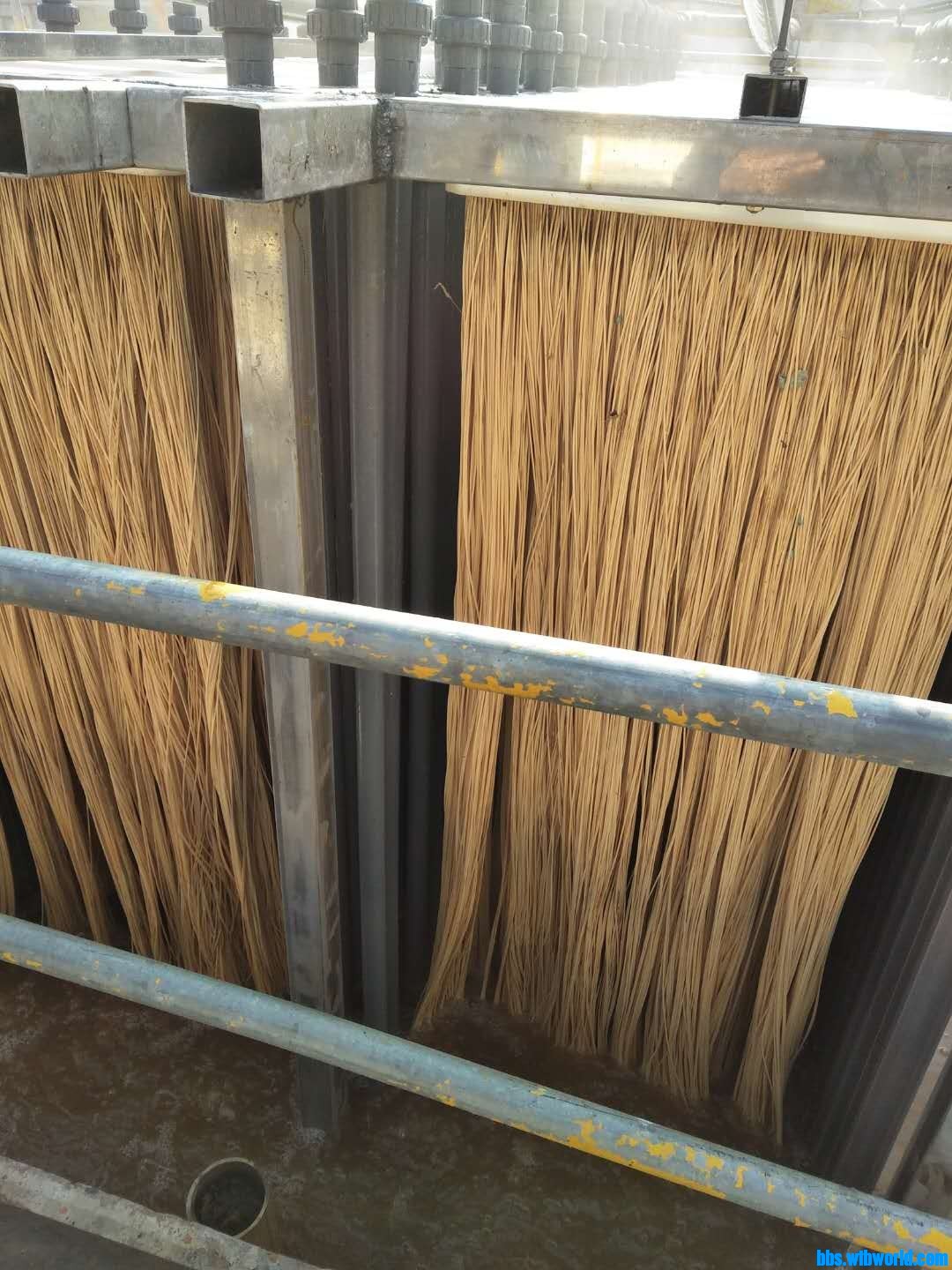 wechat_upload15866684725e92a3b881791