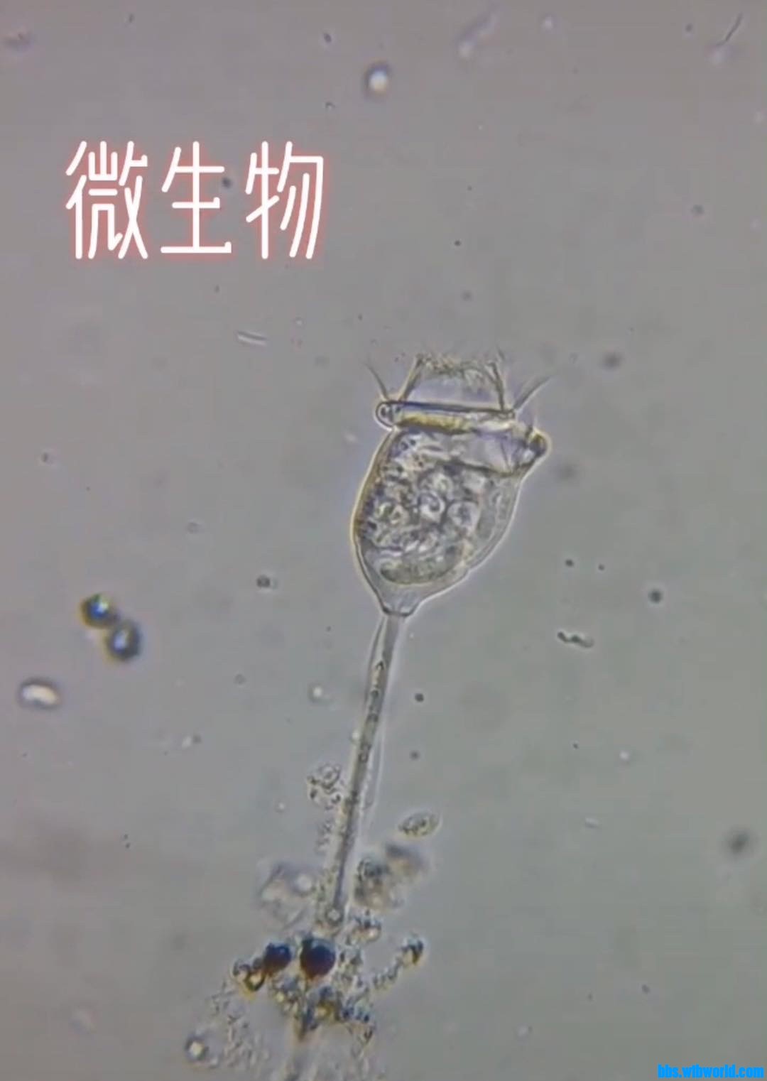 wechat_upload15883422385eac2dde27f01