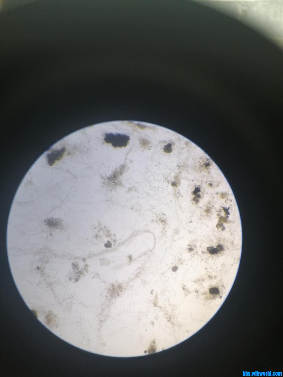 wechat_upload15886638425eb11622ca7dd