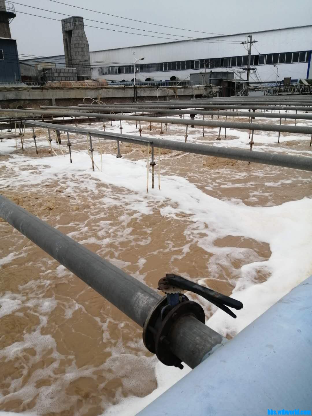 wechat_upload15886638435eb1162326592