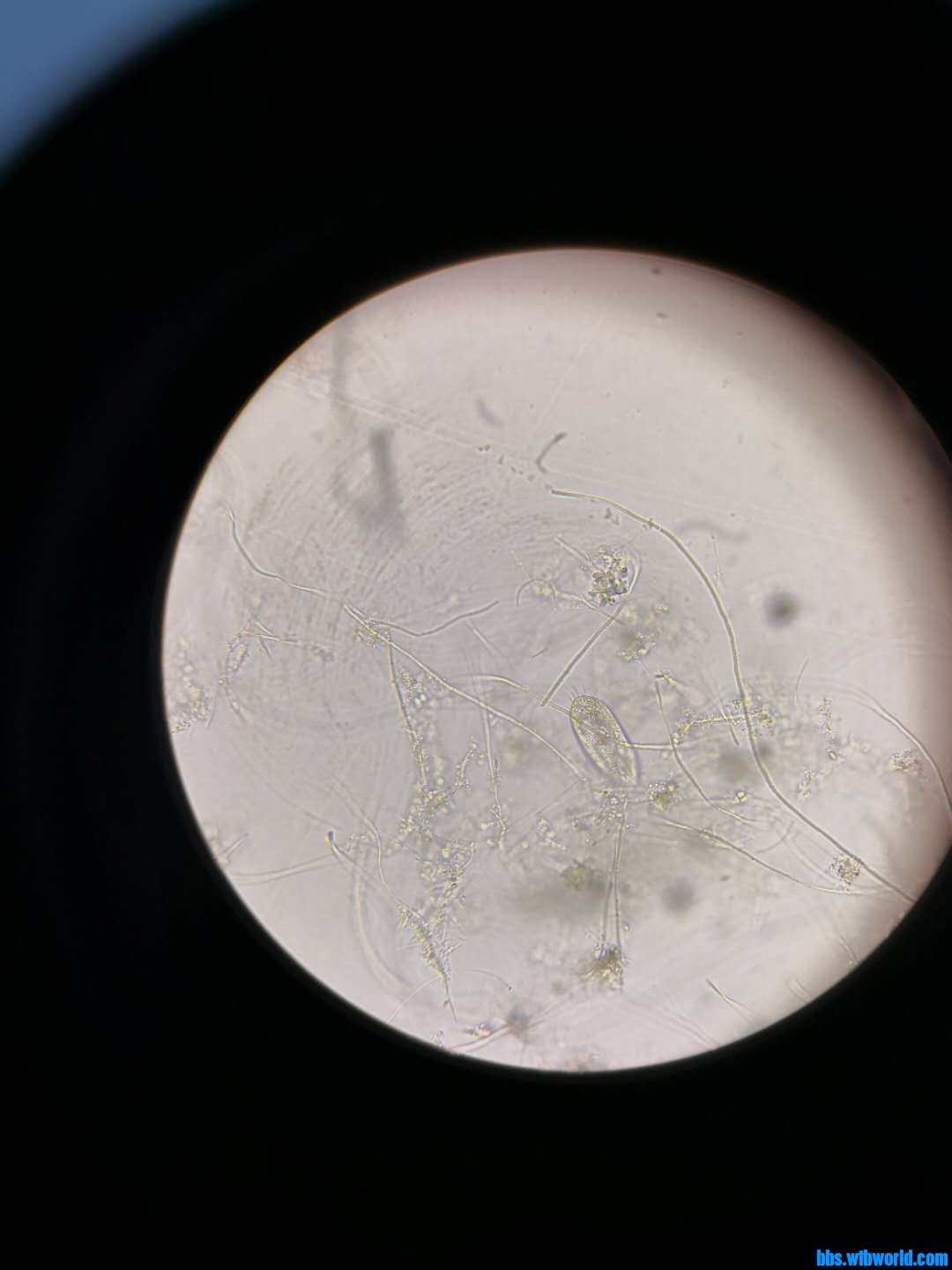 wechat_upload15891021525eb7c6489c7d5