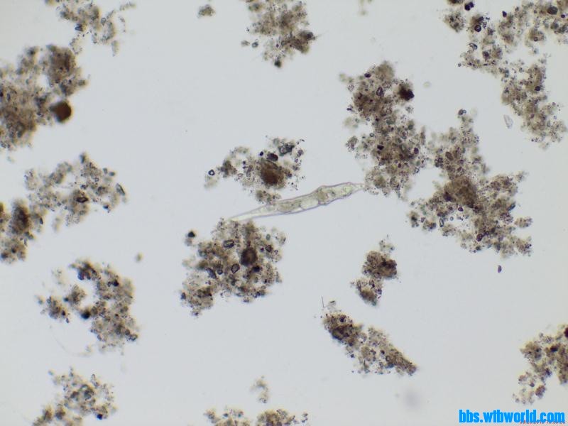 wechat_upload15895922995ebf40ebe65e5