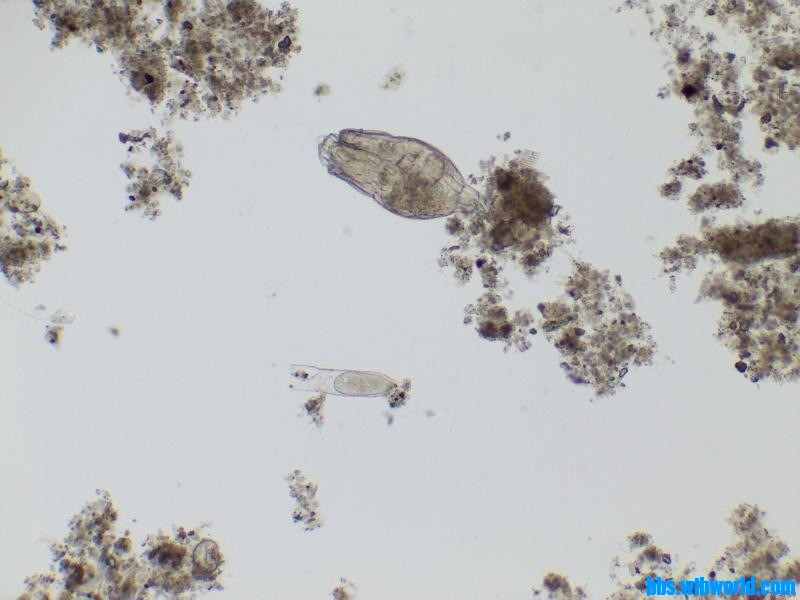 wechat_upload15895922995ebf40ebcf084