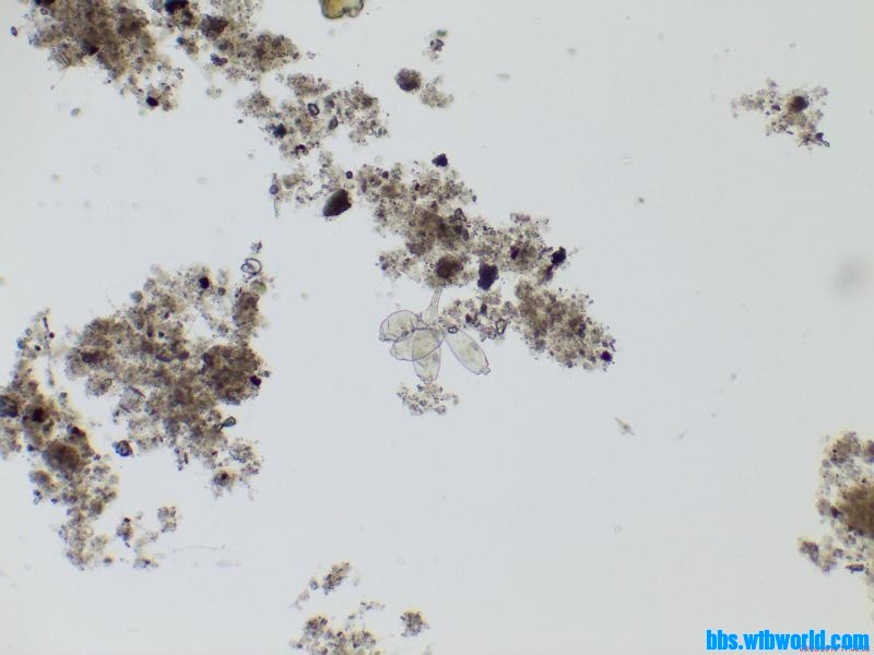 wechat_upload15895922995ebf40ebb66c9