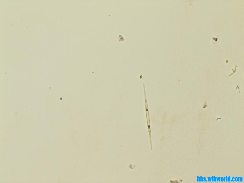 wechat_upload15895923005ebf40ec48538