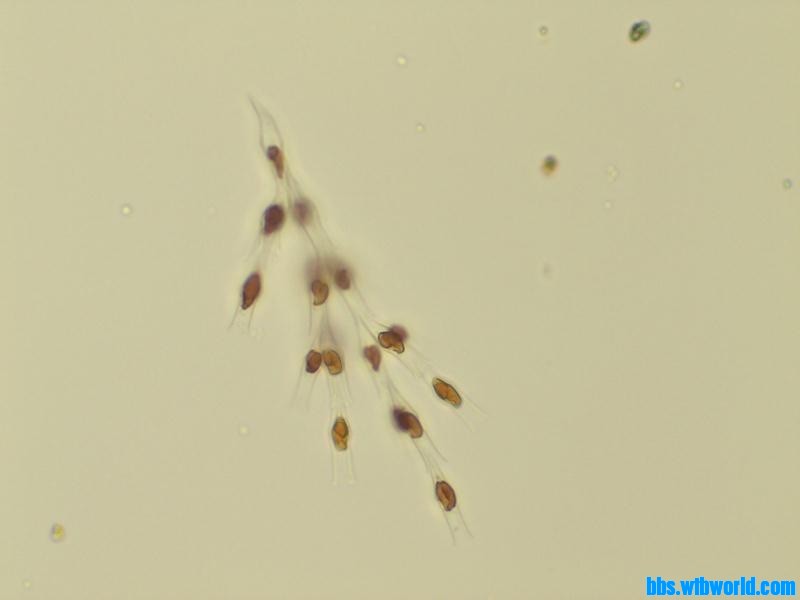 wechat_upload15895923005ebf40ec2a237