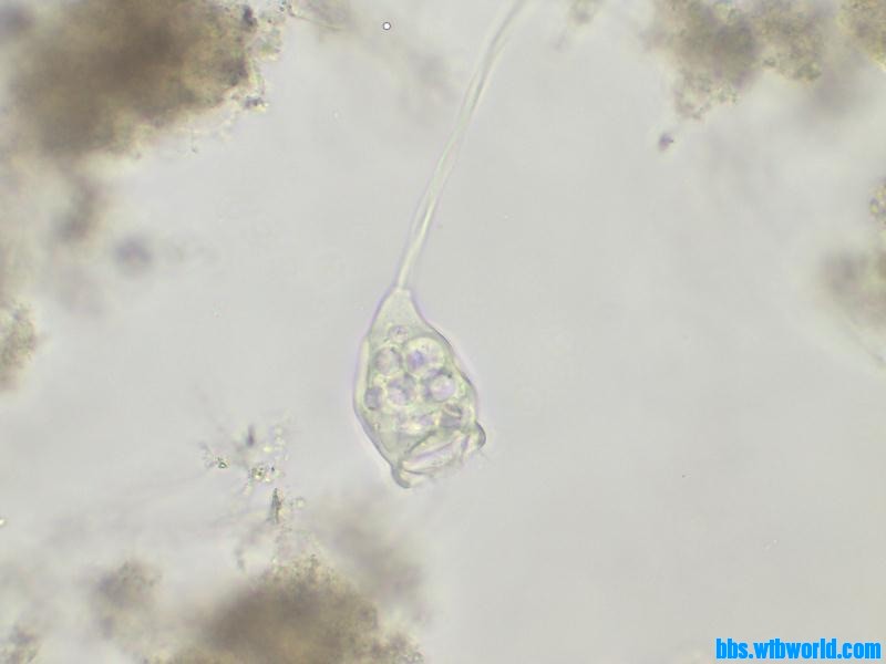 wechat_upload15895923005ebf40ec890ce